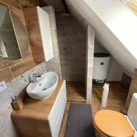 Apartamento U Synagogy *