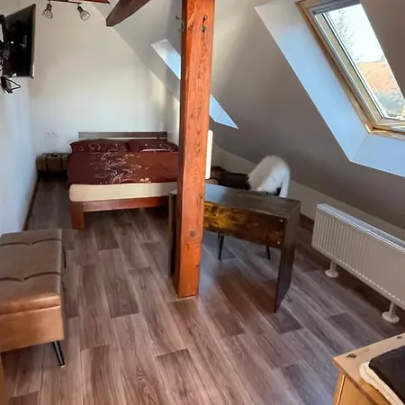 U Synagogy Apartman *