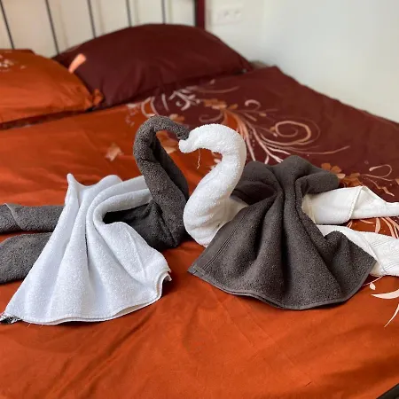 U Synagogy Apartman *