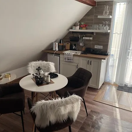 Appartement U Synagogy Dobris