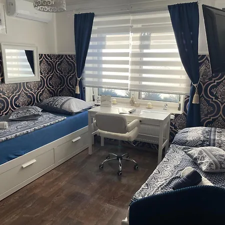 U Synagogy Appartement Dobris