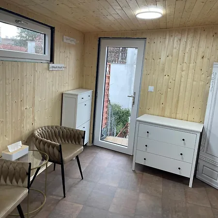 U Synagogy Appartement Dobris