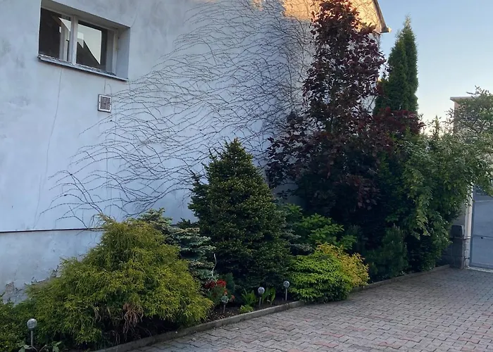 U Synagogy Dobříš