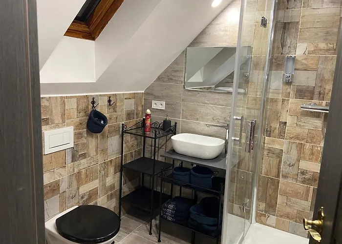 U Synagogy دوبريس