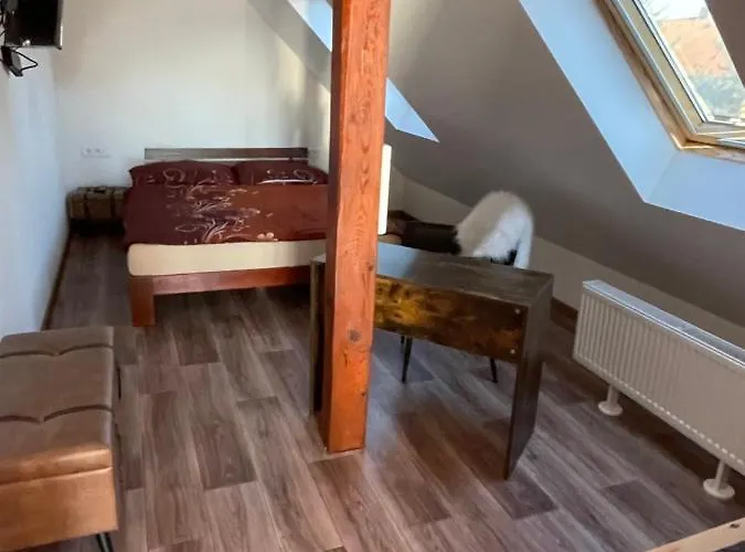 U Synagogy Apartman *