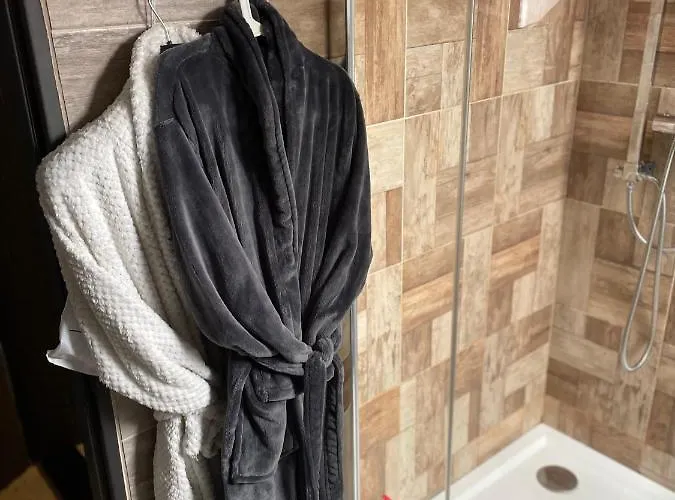 Apartamento U Synagogy *